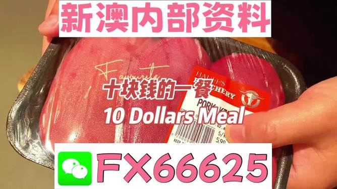 新澳最精準正最精準大全，一網打盡最新信息，新澳最新信息大全，一網打盡最精準資訊