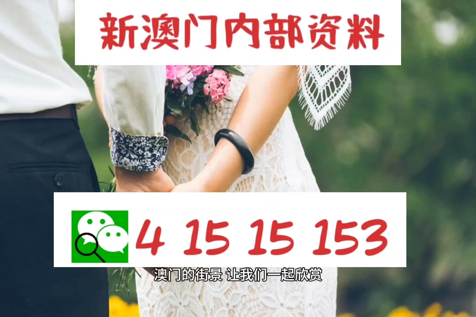 澳門公開一肖一碼免費(fèi)資料，揭秘與探討，澳門公開一肖一碼免費(fèi)資料揭秘與探討內(nèi)幕