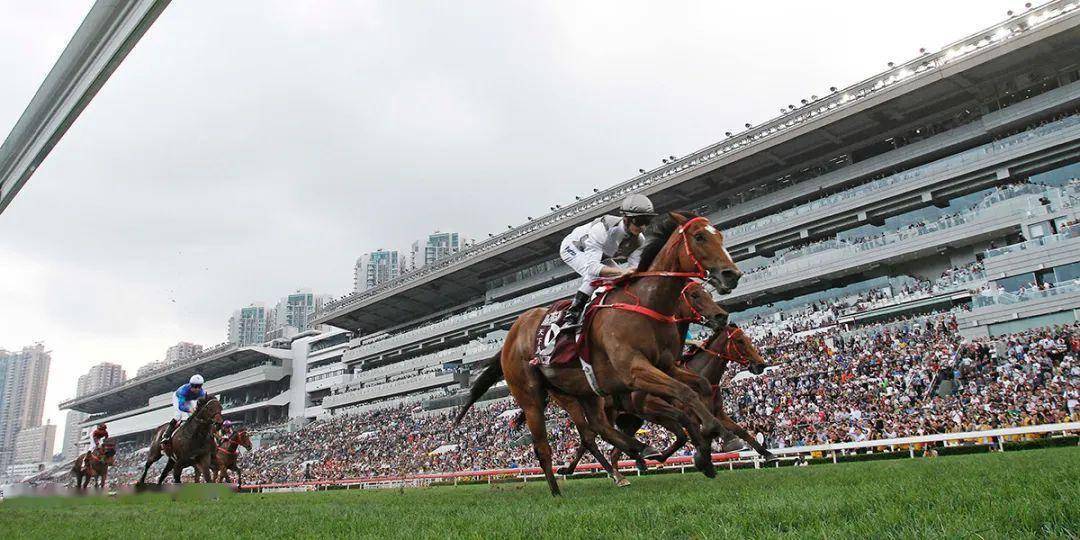 香港馬會，歷史、文化與現(xiàn)代化發(fā)展的交融，香港馬會，歷史、文化與現(xiàn)代化發(fā)展的交融之地
