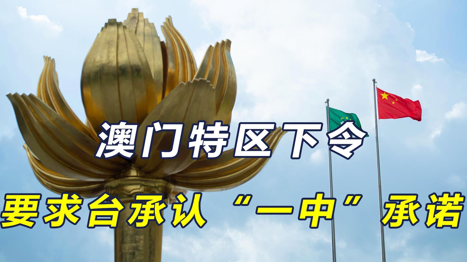 澳門一碼一肖一待一中今晚，澳門今晚一碼一肖一待一中揭曉