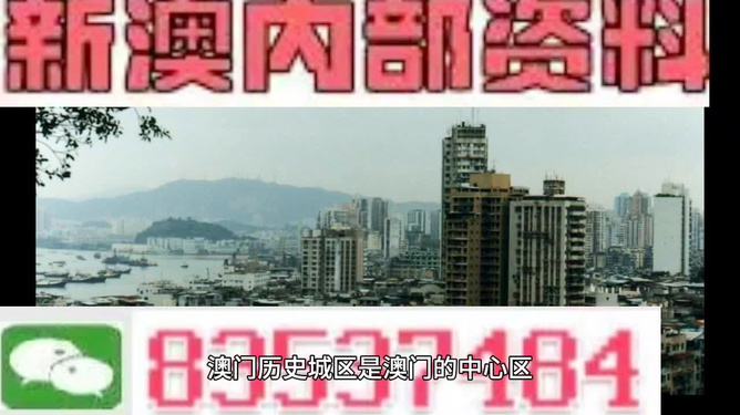新門內(nèi)部資料精準(zhǔn)大全，新門內(nèi)部資料精準(zhǔn)大全揭秘