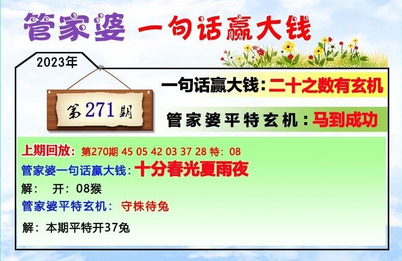 揭秘202管家婆一肖一碼，解碼神秘數(shù)字的魅力，揭秘神秘數(shù)字魅力，解碼管家婆一肖一碼的秘密