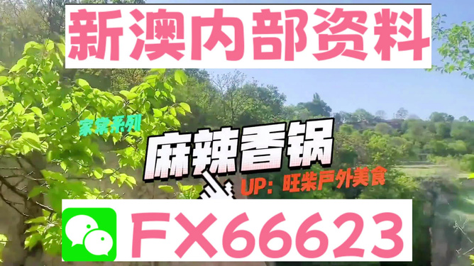 新澳精準資料，探索與解讀，新澳精準資料，深度探索與解讀