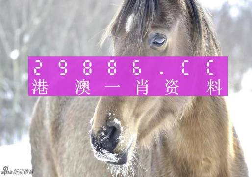 澳門一肖一碼百分百精準預測——揭秘彩票背后的秘密，澳門彩票預測揭秘，一肖一碼百分百精準背后的秘密