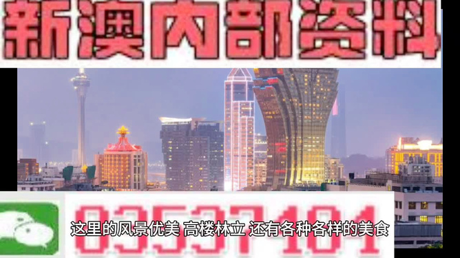 新澳精準(zhǔn)資料免費提供，探索第221期的奧秘與價值，新澳精準(zhǔn)資料揭秘第221期奧秘與價值