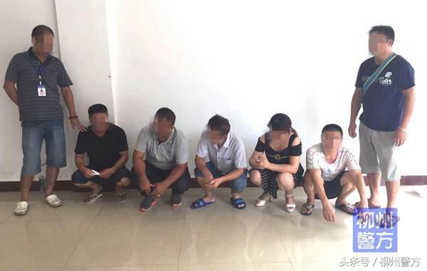 港澳六開彩開獎結(jié)果歷史數(shù)據(jù)深度解析，港澳六開彩開獎結(jié)果歷史數(shù)據(jù)深度剖析
