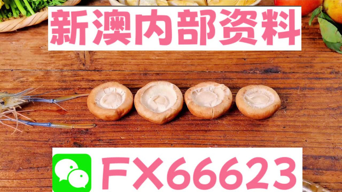 新澳全年免費資料大全，一網(wǎng)打盡各類資源，新澳全年免費資料大全，各類資源一網(wǎng)打盡