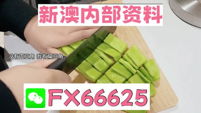 新澳精選資料大放送，免費(fèi)獲取優(yōu)質(zhì)資源指南，新澳精選資料免費(fèi)獲取，優(yōu)質(zhì)資源指南大放送
