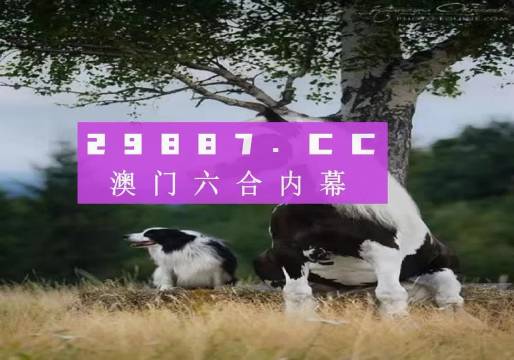 新澳門跑狗圖庫，探索與賞析，新澳門跑狗圖庫，探索與賞析之旅