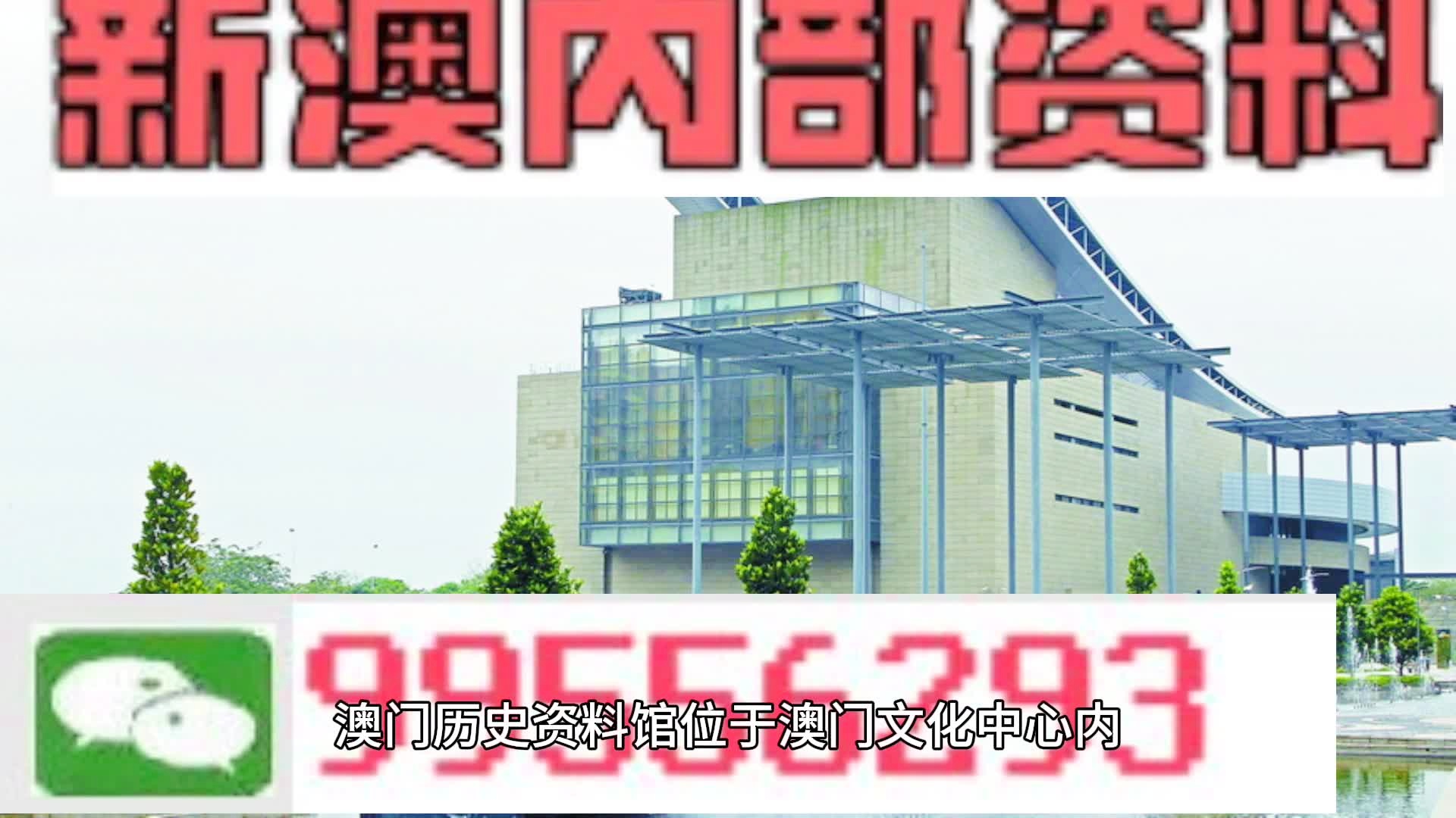 新澳門精準四肖期期準，探索博彩文化的魅力，澳門博彩文化探索，精準四肖的魅力所在