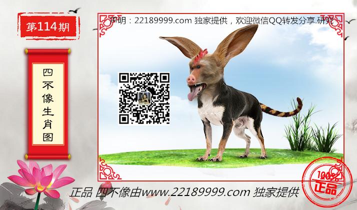 四不像資料免費大全——網(wǎng)絡(luò)時代的寶藏探索，四不像資料免費大全，網(wǎng)絡(luò)時代的寶藏深度探索