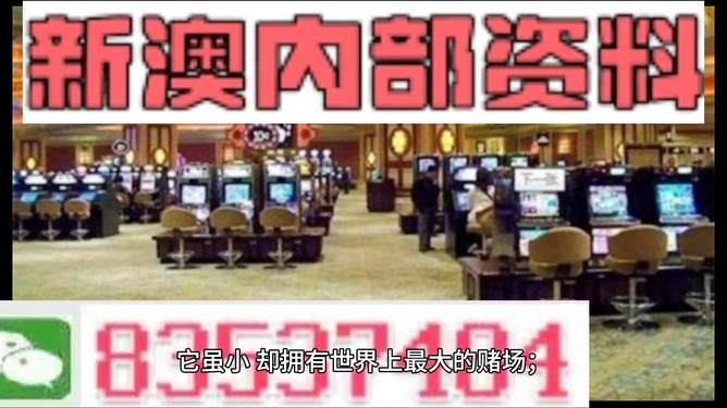 澳門正版精準免費大全，一網(wǎng)打盡各類資訊與服務，澳門正版資訊大全，精準免費，一網(wǎng)打盡各類服務與資訊