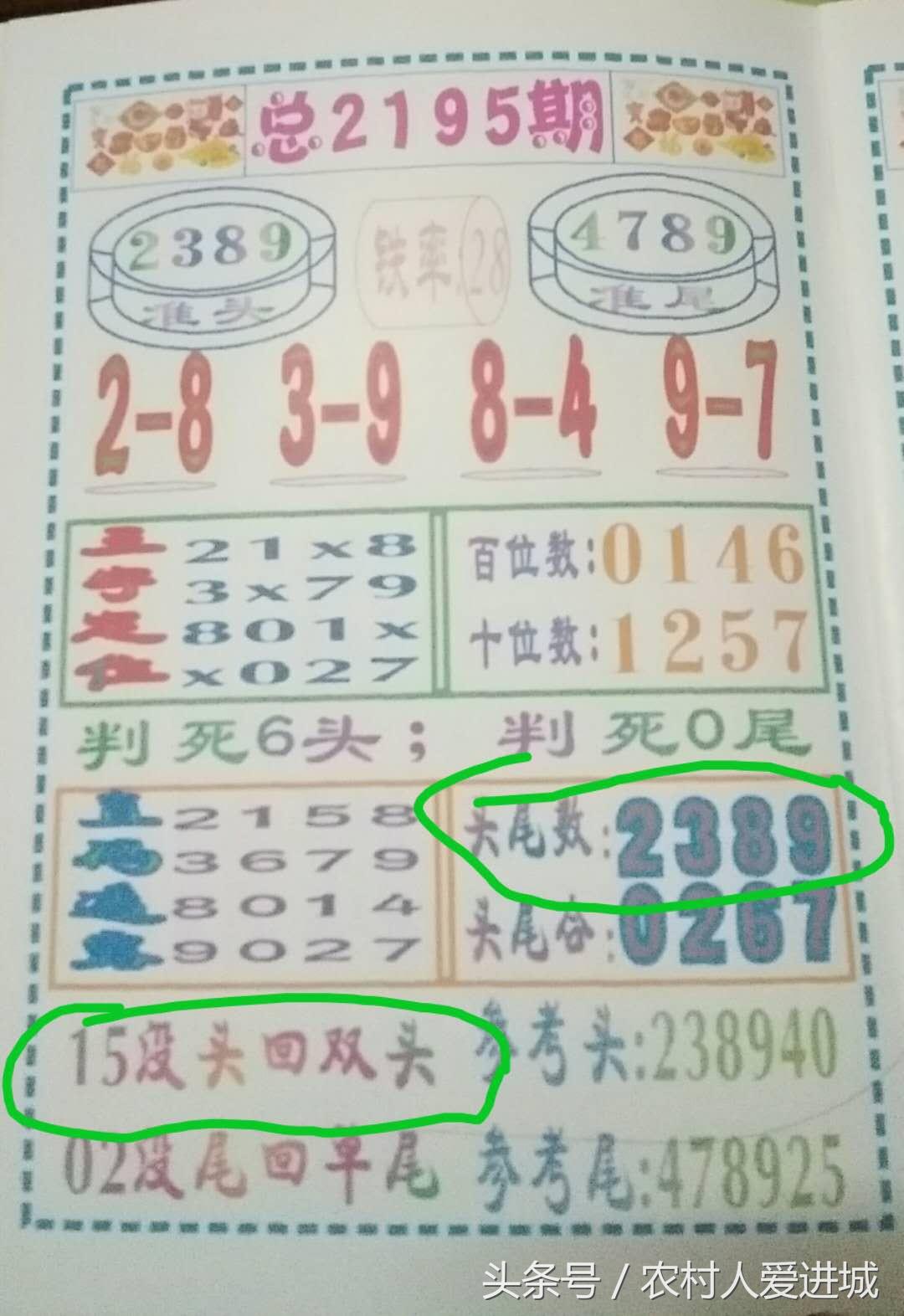 新澳門一肖中，揭秘期期準(zhǔn)的奧秘，揭秘新澳門一肖中，期期準(zhǔn)的奧秘所在