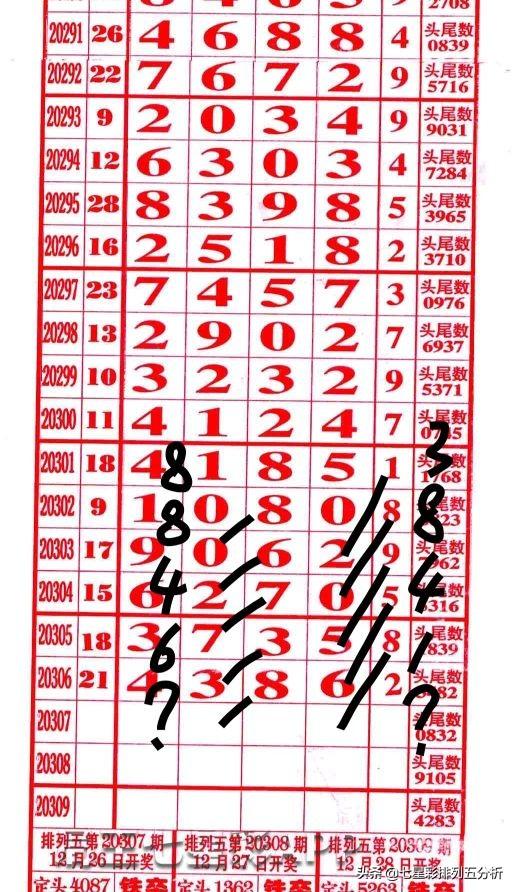 四肖八碼中大獎，揭秘彩票背后的秘密與幸運之路，揭秘四肖八碼彩票背后的幸運之路與大獎秘密