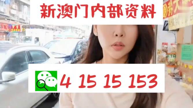 2004新澳門天天開好彩，回顧與展望，澳門彩票行業(yè)，回顧過去，展望未來