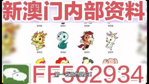 揭秘，2025新澳門今晚生肖揭曉盛典，揭秘，2025新澳門今晚生肖盛典揭曉時刻