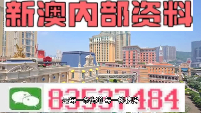新澳門最精準(zhǔn)正最精準(zhǔn)龍門——探索澳門的魅力與機(jī)遇，澳門魅力與機(jī)遇探索，新澳門最精準(zhǔn)龍門