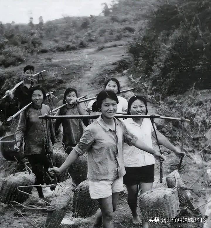 免費(fèi)下載49圖庫(kù)的全方位指南，免費(fèi)下載49圖庫(kù)的實(shí)用指南
