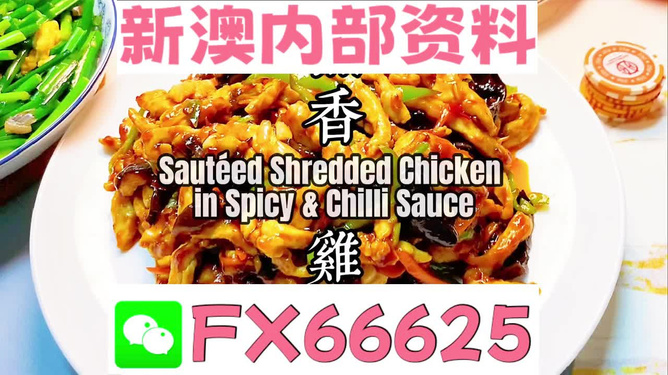 新奧精準(zhǔn)資料免費(fèi)提供，一站式解決方案助力個(gè)人與企業(yè)的成長(zhǎng)，新奧精準(zhǔn)資料助力個(gè)人與企業(yè)成長(zhǎng)的一站式解決方案免費(fèi)開(kāi)放