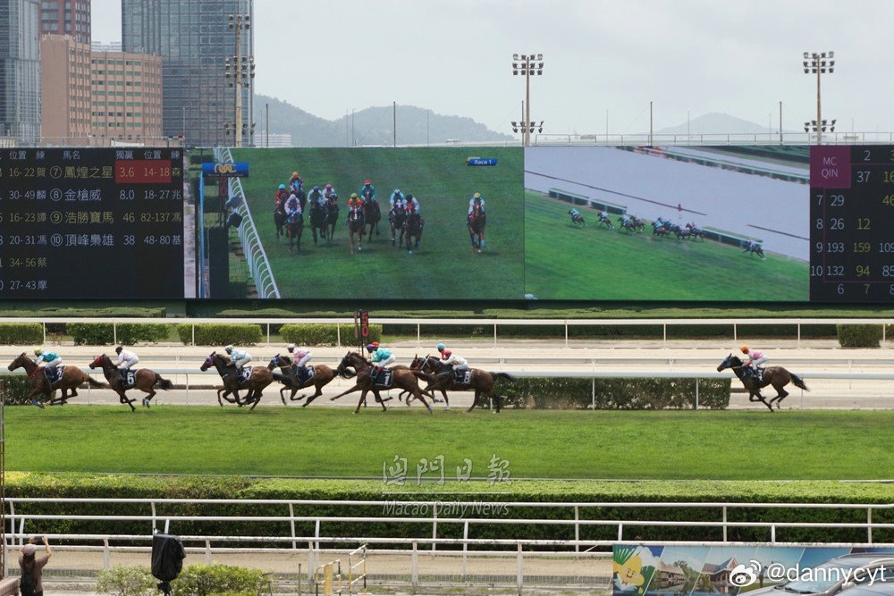 2025新澳門今晚開特馬直播——探索未來的澳門賽馬文化，澳門賽馬文化的新未來，直播特馬盛宴