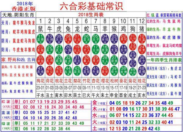 澳門(mén)正版資料大全資料生肖卡的奧秘與魅力，澳門(mén)正版資料大全，生肖卡的奧秘與魅力