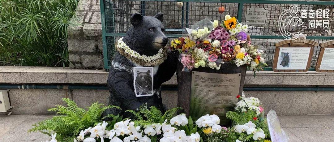 如何輕松下載澳門開獎結果——詳細指南，澳門開獎結果下載指南，輕松獲取開獎信息