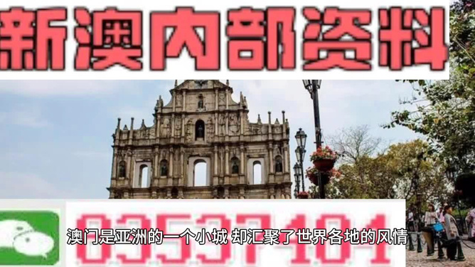 澳門今晚一肖必中特，揭秘博彩文化背后的秘密，澳門博彩文化揭秘，一肖必中特與今晚的秘密機(jī)會