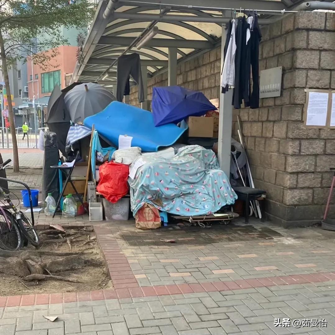 揭秘新澳門天天彩，是否為官方運(yùn)營？，揭秘新澳門天天彩的官方運(yùn)營真相