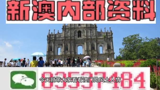 新澳今天最新資料解析，新澳今日最新資料深度解析