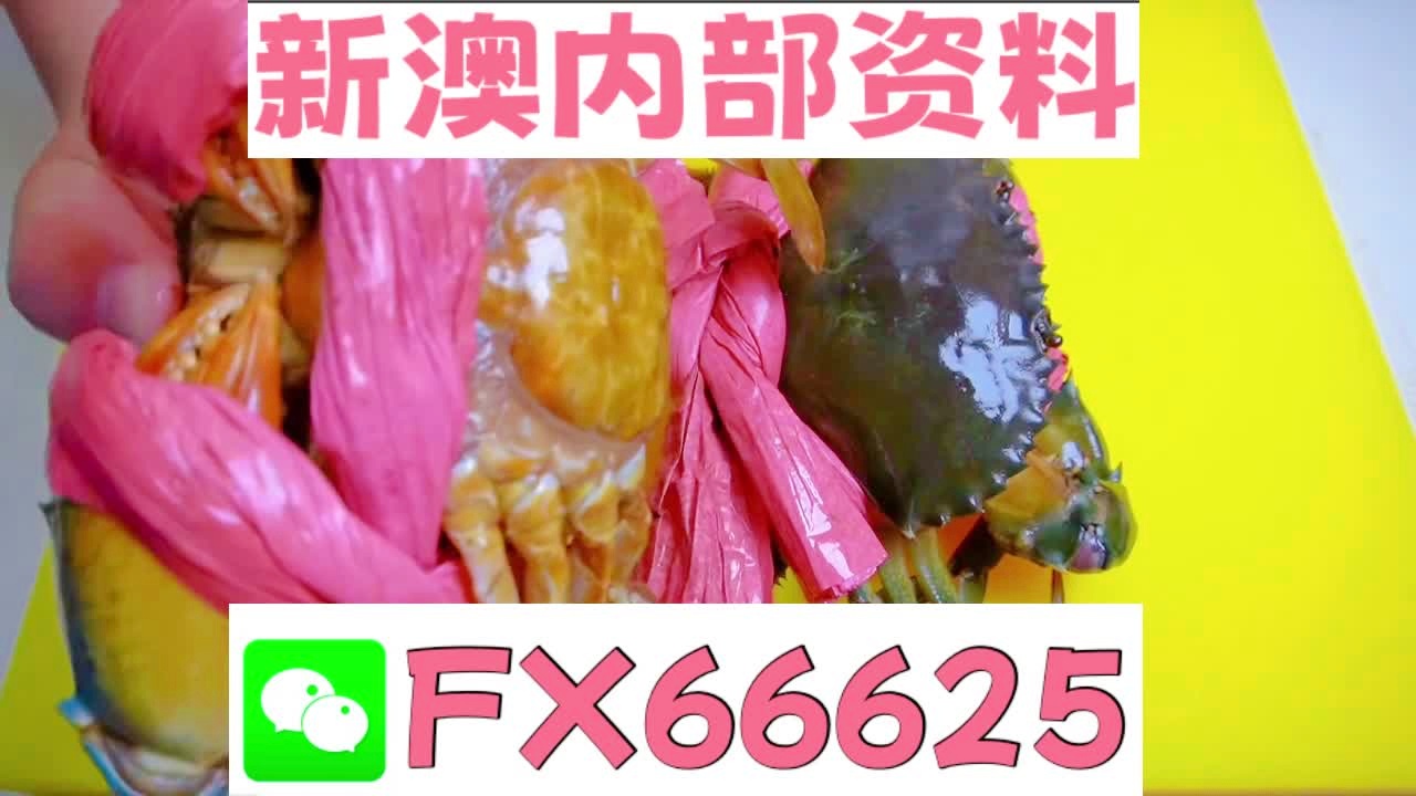 深度解析，2025新澳精準資料大全，深度解析，2025新澳精準資料大全概覽