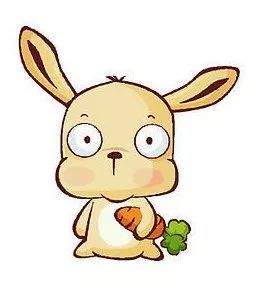 澳門一碼一肖一待一中四不像圖片——揭秘與探索，澳門神秘圖片揭秘，一碼一肖一待一中四不像的探索