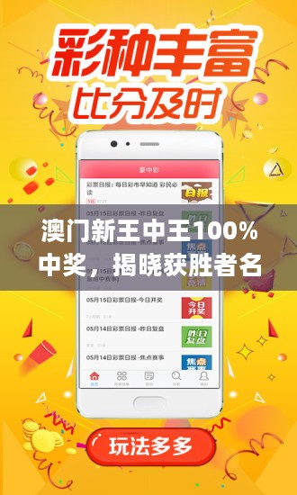 揭秘新澳門王中王，期期中神話的背后，揭秘新澳門王中王期期中神話真相