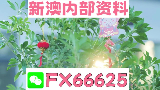新澳好彩免費(fèi)資料查詢背后的故事，水果奶奶醉八仙，新澳好彩免費(fèi)資料查詢背后的故事，水果奶奶的八仙醉傳奇