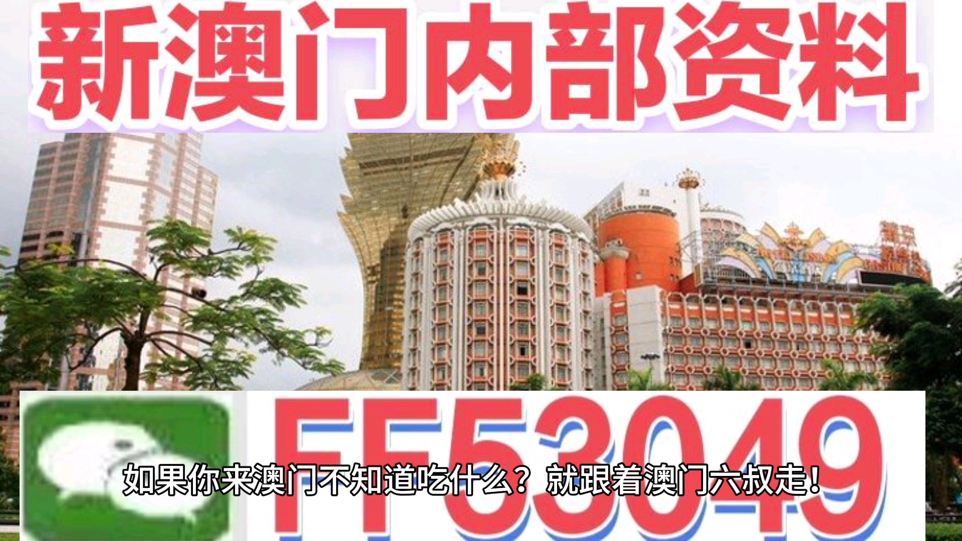 澳門特馬今晚開獎億彩網書肖預測指南（2025版），澳門特馬今晚開獎億彩網書肖預測指南（最新2025版揭秘）