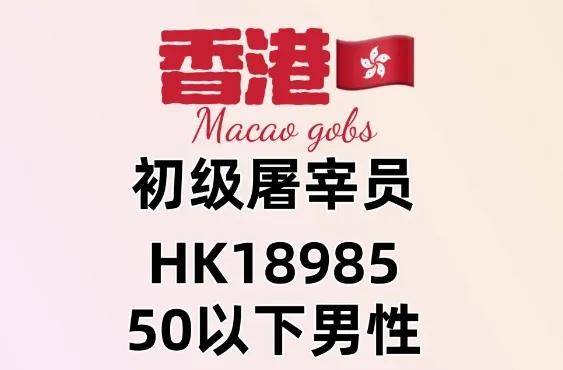 香港二四六開獎結(jié)果揭秘，歷史最快開獎記錄全解析，香港二四六開獎結(jié)果全揭秘，歷史最快開獎記錄深度解析