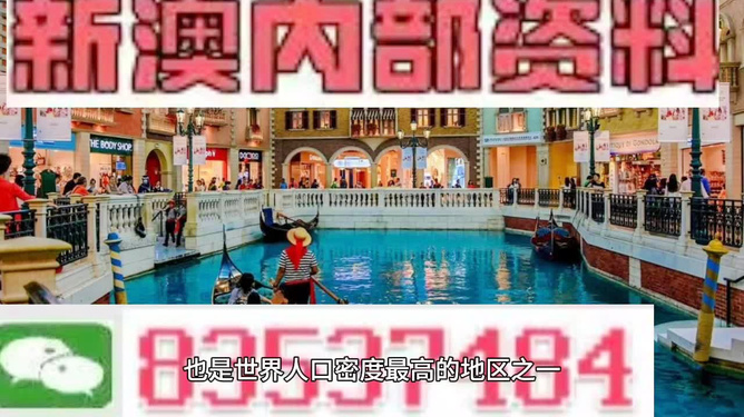 新澳門免費(fèi)精準(zhǔn)龍門客棧管家婆——探索現(xiàn)代澳門的神秘面紗，現(xiàn)代澳門神秘面紗揭曉，免費(fèi)精準(zhǔn)龍門客棧管家婆探索之旅