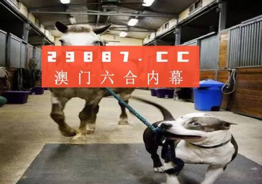 澳門一肖一碼一必中，同舟共濟(jì)共創(chuàng)輝煌，澳門一肖一碼精準(zhǔn)預(yù)測，同舟共濟(jì)共創(chuàng)輝煌未來