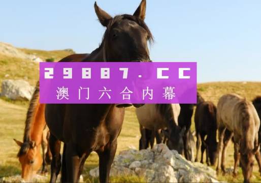 澳門管家婆之肖一碼傳奇，澳門管家婆肖一碼傳奇，揭秘神秘傳奇故事