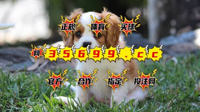 澳門特馬今期開獎(jiǎng)結(jié)果2025年記錄全解析，澳門特馬2025年開獎(jiǎng)結(jié)果全記錄解析