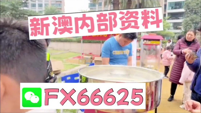 澳門(mén)正版免費(fèi)全年資料大全旅游團(tuán)，一站式體驗(yàn)澳門(mén)的魅力，澳門(mén)魅力之旅，全年正版資料大全與旅游團(tuán)一站式體驗(yàn)