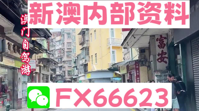 新澳最精準(zhǔn)正最精準(zhǔn)龍門客棧，一網(wǎng)打盡天下英雄，新澳龍門客棧，英雄一網(wǎng)打盡之地