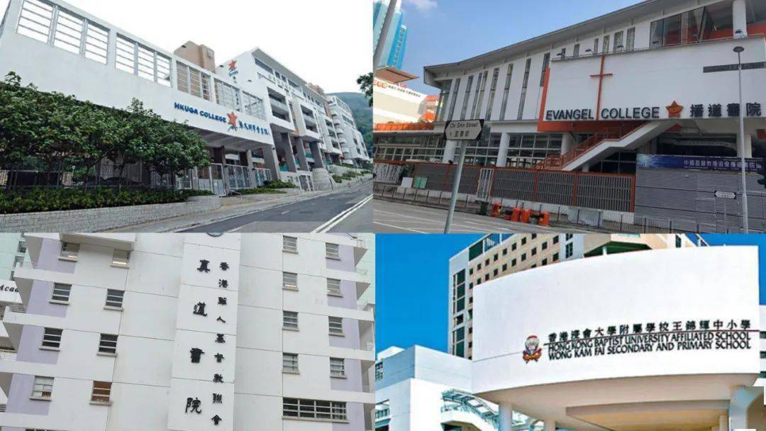 香港免費(fèi)公開資料大全，一網(wǎng)打盡資源寶藏，香港資源寶藏，免費(fèi)公開資料一網(wǎng)打盡