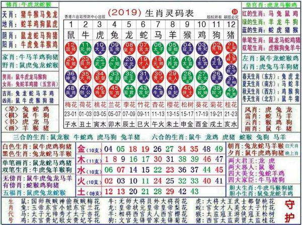 澳門正版資料大全資料生肖卡的探索之旅，澳門正版資料大全生肖卡探索之旅揭秘