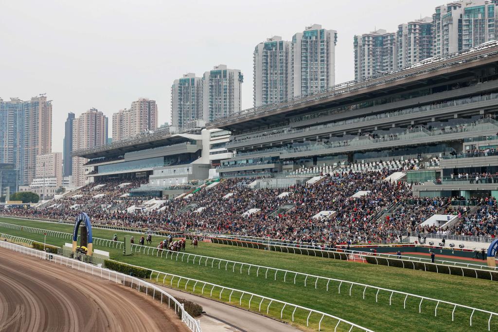 關于香港今晚開特馬的分析與預測（一），香港今晚特馬分析與預測（一）