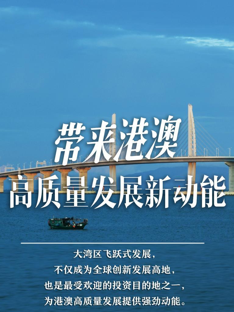 探索未來(lái)之門(mén)，2025新澳門(mén)精準(zhǔn)免費(fèi)大全，探索未來(lái)之門(mén)，2025新澳門(mén)精準(zhǔn)免費(fèi)大全概覽