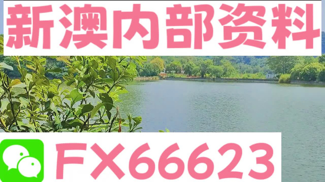 新澳精準(zhǔn)資料免費(fèi)提供網(wǎng)站及其可用軟件概述，新澳精準(zhǔn)資料免費(fèi)分享平臺與軟件應(yīng)用概述