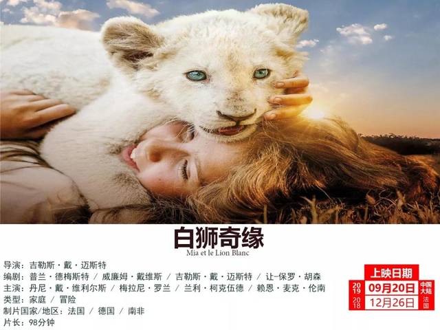 揭秘白小姐奇緣四肖，資料大全與正版故事回顧，揭秘白小姐奇緣四肖，資料回顧與正版故事探秘