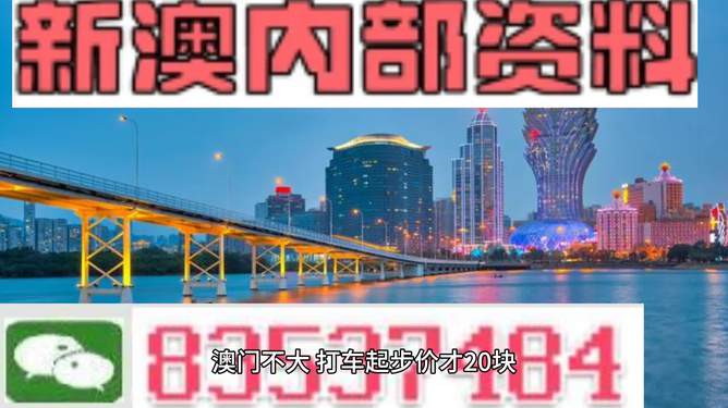 澳門最準最快的免費的233期，揭秘真相與實用指南，澳門233期揭秘真相與實用指南，最準最快的免費攻略