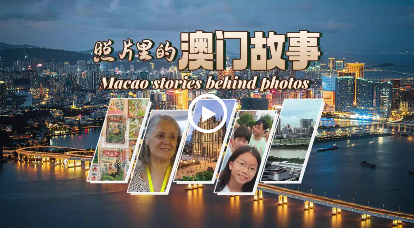澳門正版資料免費大全新聞最新大神，一網(wǎng)打盡最新資訊，澳門正版資料免費大全，最新新聞與資訊匯總
