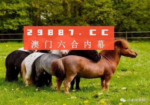 四不像今晚必中一肖4006，揭秘彩票背后的神秘面紗，揭秘彩票背后的神秘面紗，四不像今晚必中一肖4006揭曉真相！